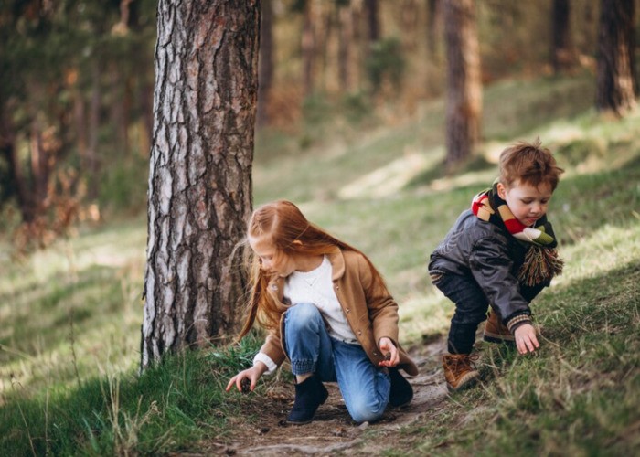 하루의 리듬을 부드럽게 만드는 산책 습관